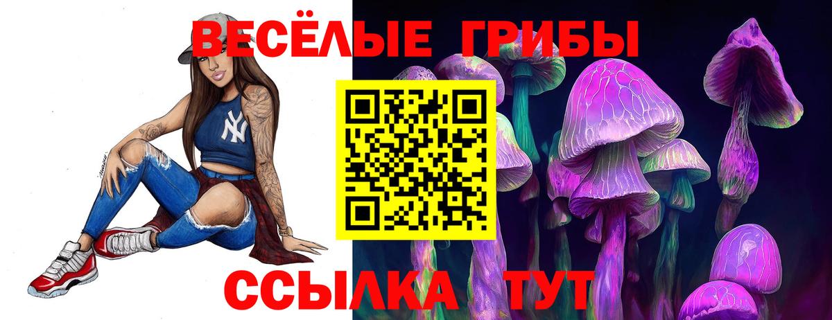 Псилоцибиновые грибы Magic Shrooms Удомля
